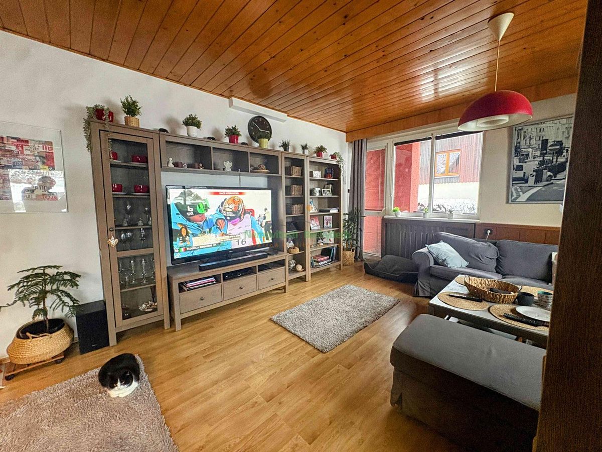 Prodej rodinného domu 320 m², pozemek 1021 m² – fotografie 4