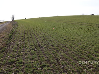 Prodej  komerčního pozemku 10 841 m² — photo 4