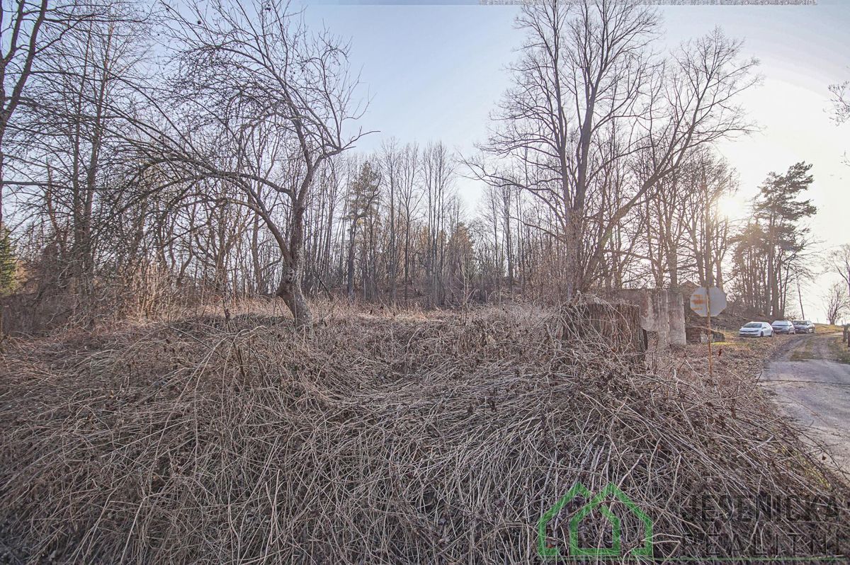 Prodej stavebního pozemku 15640 m² – fotografie 3