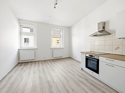 Pronájem bytu 1+1 34 m²