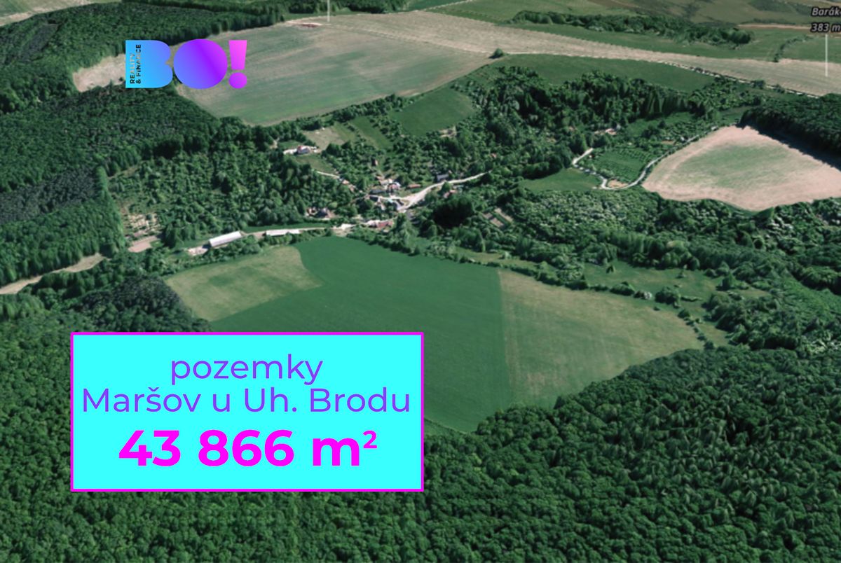 Prodej pole 43866 m²