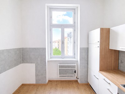 Pronájem bytu 1+1 55 m² (Jednopodlažní)