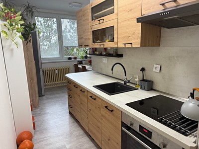 Prodej bytu 2+1 56 m² (Jednopodlažní)