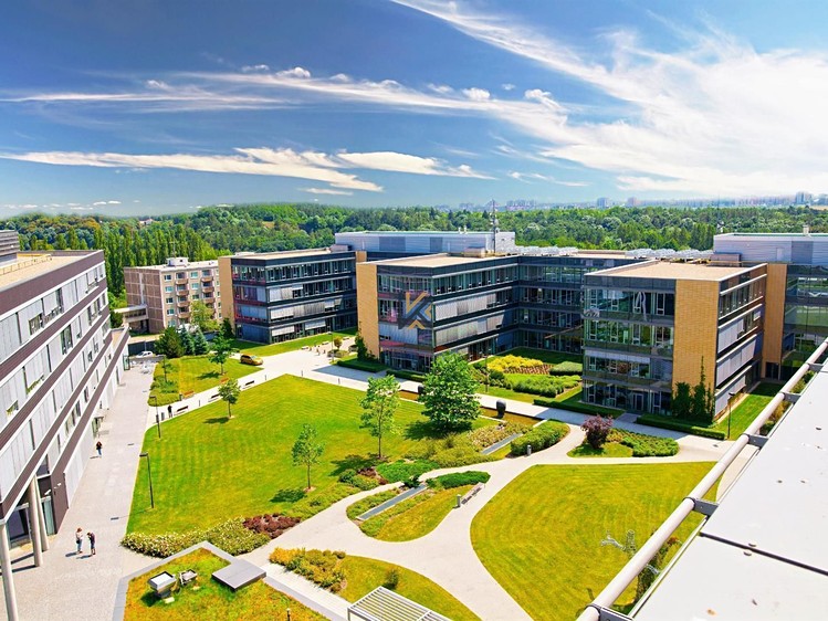 Pronájem komerčního prostoru, 750 m² (1 z 11)