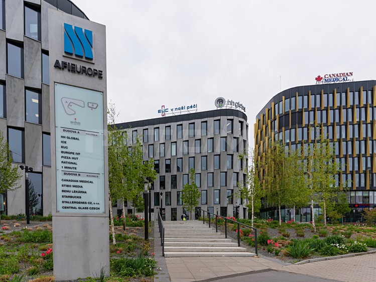 Gewerbefläche zur Miete, 447 m² (1 von 13)