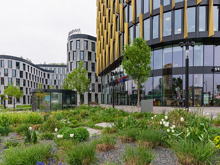 Gewerbefläche zur Miete, 447 m² (13 von 13)