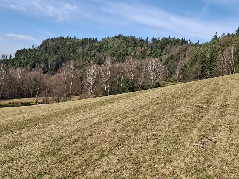 Prodej louky 49647 m², Ústí nad Orlicí – náhled fotky 3