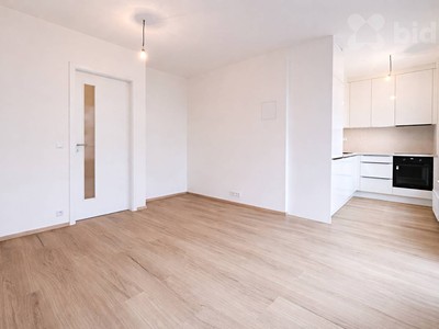 Pronájem bytu 2+kk 48 m²