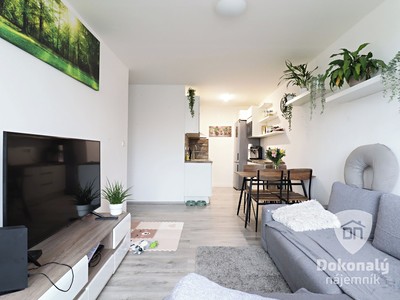 Pronájem bytu 2+kk 43 m²
