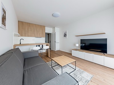 Pronájem bytu 1+kk 29 m²