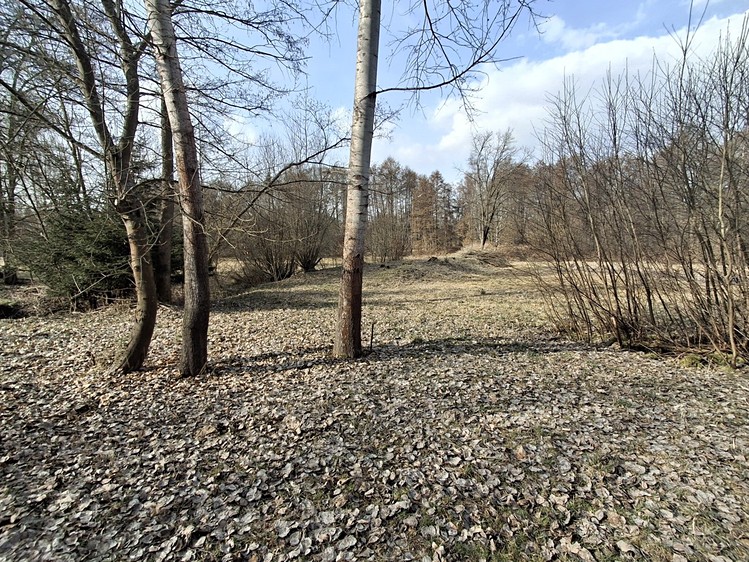 Prodej pozemku, 5 732 m² (6 z 10)