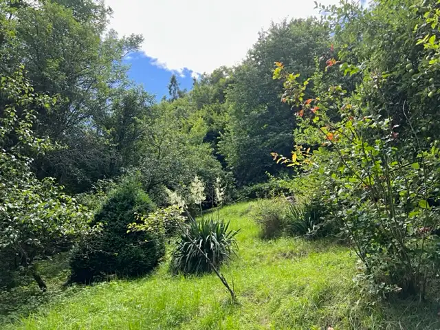 Pronájem zahrady 770 m², Křivoklát – náhled fotky 3