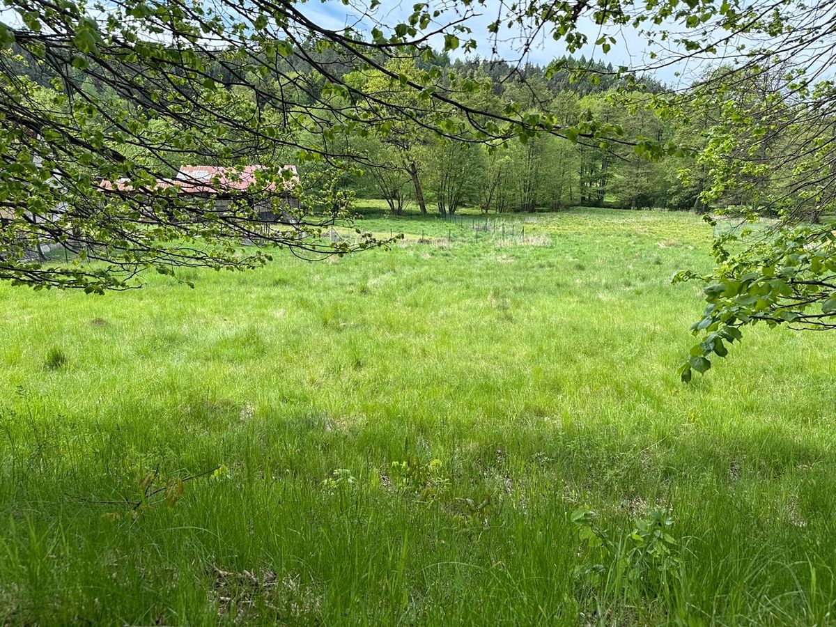 Prodej stavebního pozemku 1186 m²