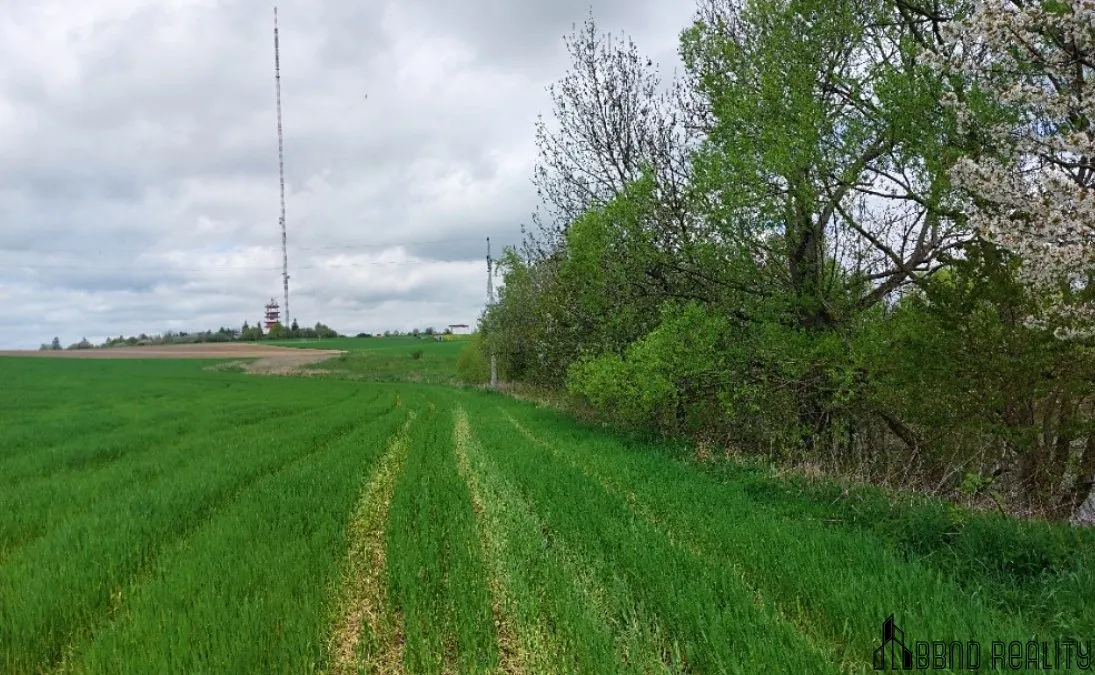 Prodej rybníku (vodní plochy) 12045 m² — fotografie 7