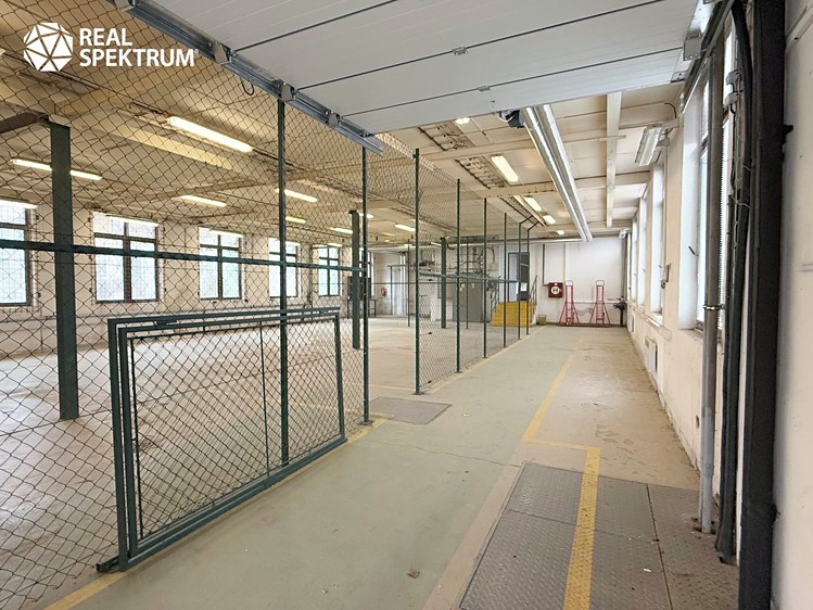 Gewerbefläche zur Miete, 265 m² (2 von 4)