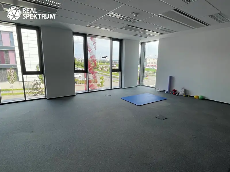Pronájem kanceláře 250 m², Brno – náhled fotky 3