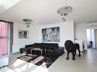 Pronájem bytu 3+kk 250 m²