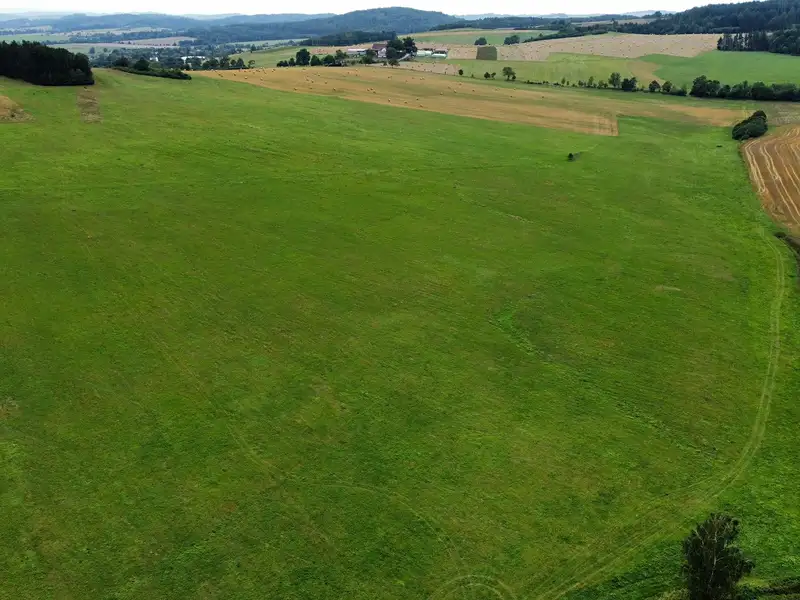 Prodej pole 44796 m², Srby – náhled fotky 3