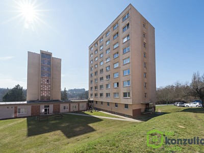 Prodej bytu 1+1 30 m² (Jednopodlažní)