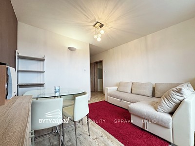 Pronájem bytu 1+1 42 m²