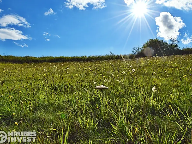 Prodej stavebního pozemku 2169 m², Hnátnice – náhled fotky 3
