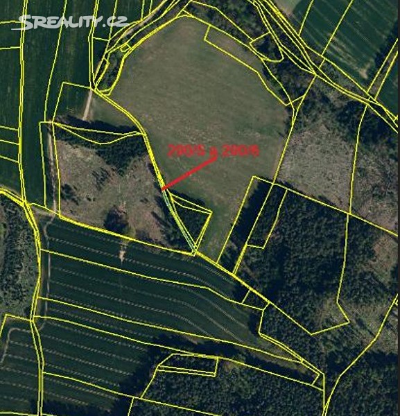 Prodej  lesa 326 m²