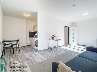 Pronájem bytu 1+kk 34 m²