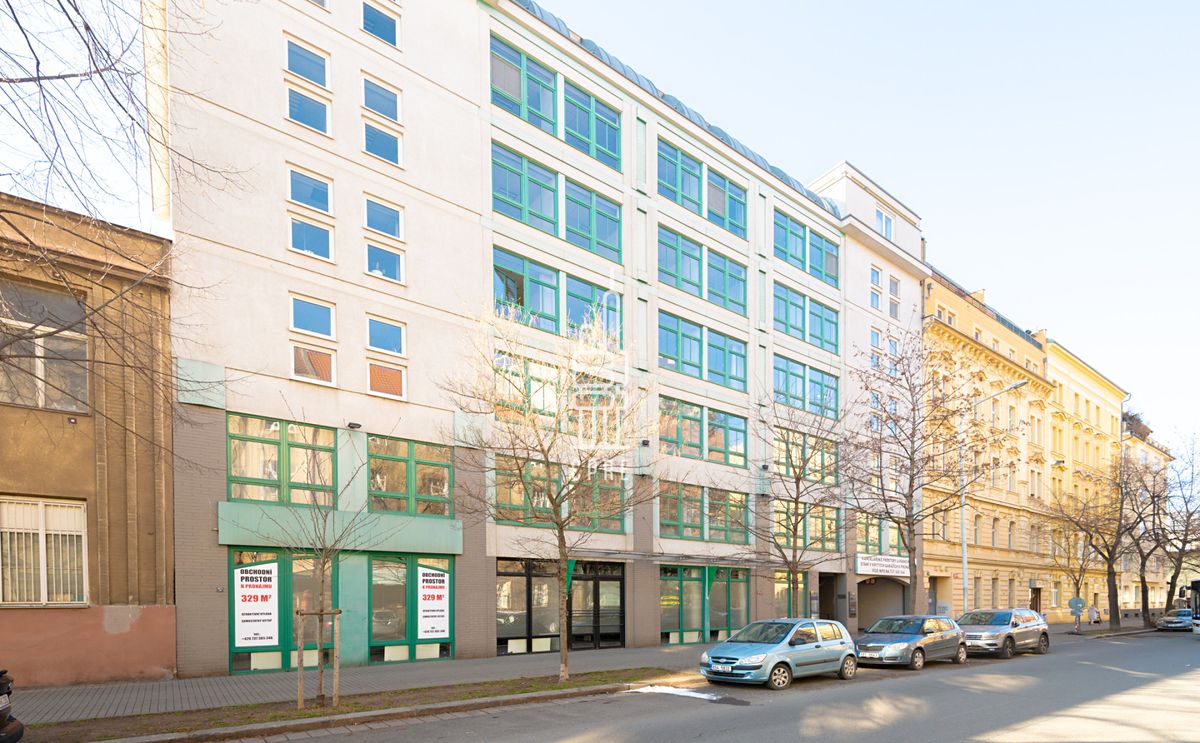Pronájem obchodního prostoru 329 m² – fotografie 5