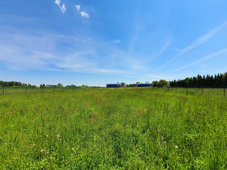Grundstück zum Kauf, 924 m² (15 von 19)