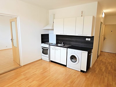 Pronájem bytu 1+1 36 m²