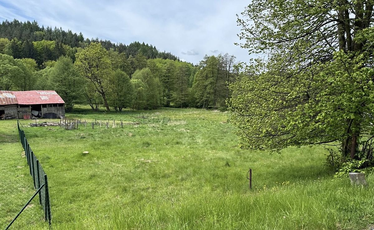 Prodej stavebního pozemku 1186 m² – fotografie 2