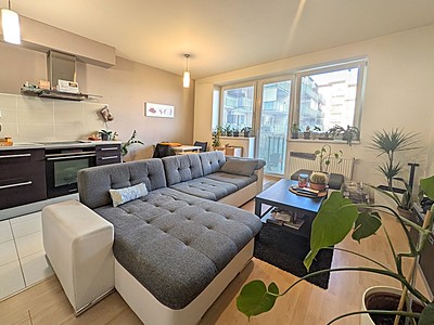 Prodej bytu 2+kk 53 m² (Jednopodlažní)