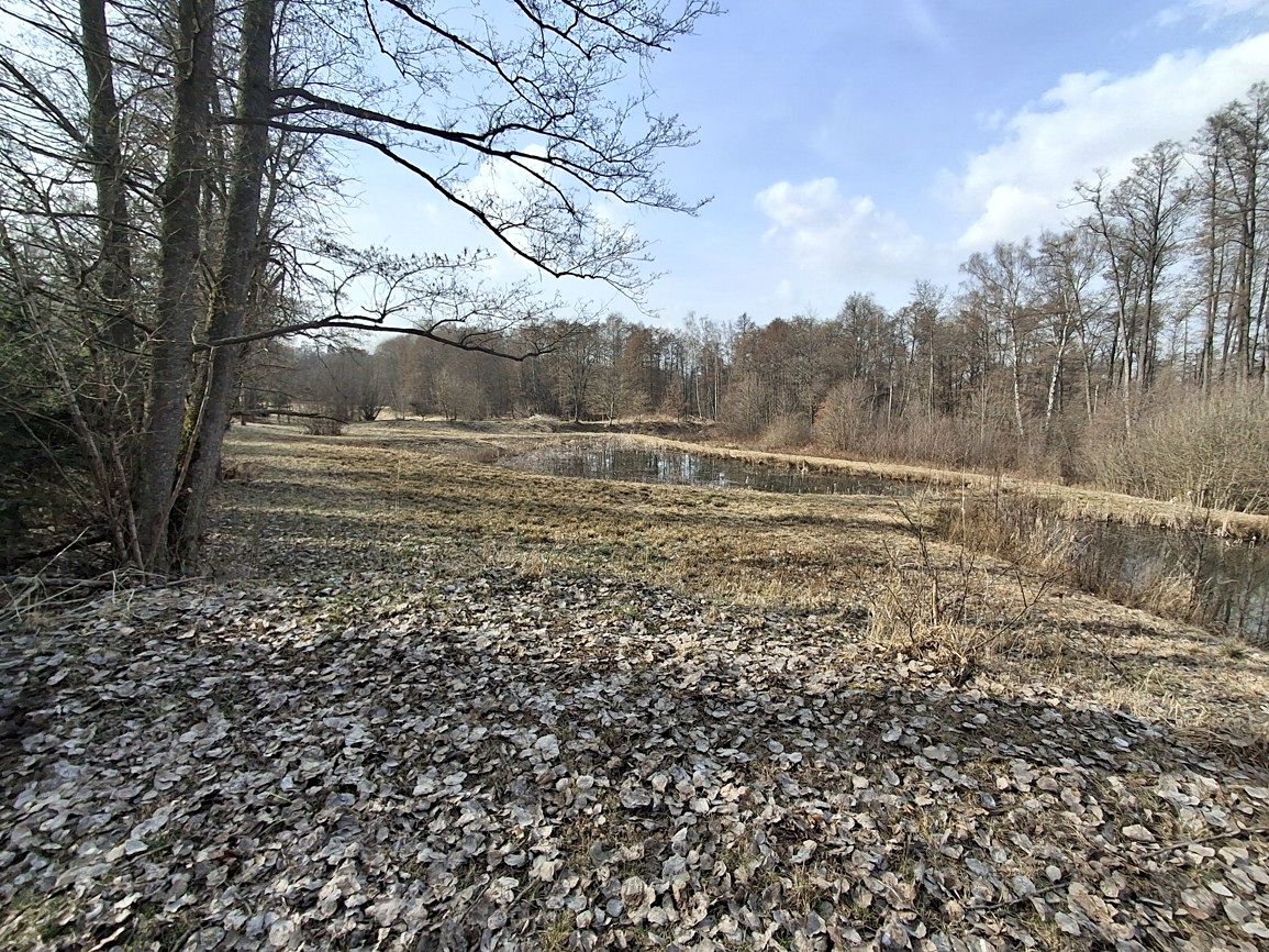 Prodej pozemku 5732 m² – fotografie 3