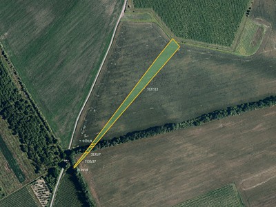 Prodej  pole 6 188 m²