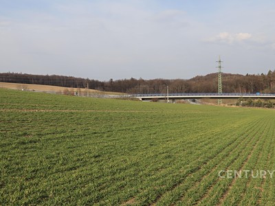 Prodej  komerčního pozemku 10 841 m² — photo 5