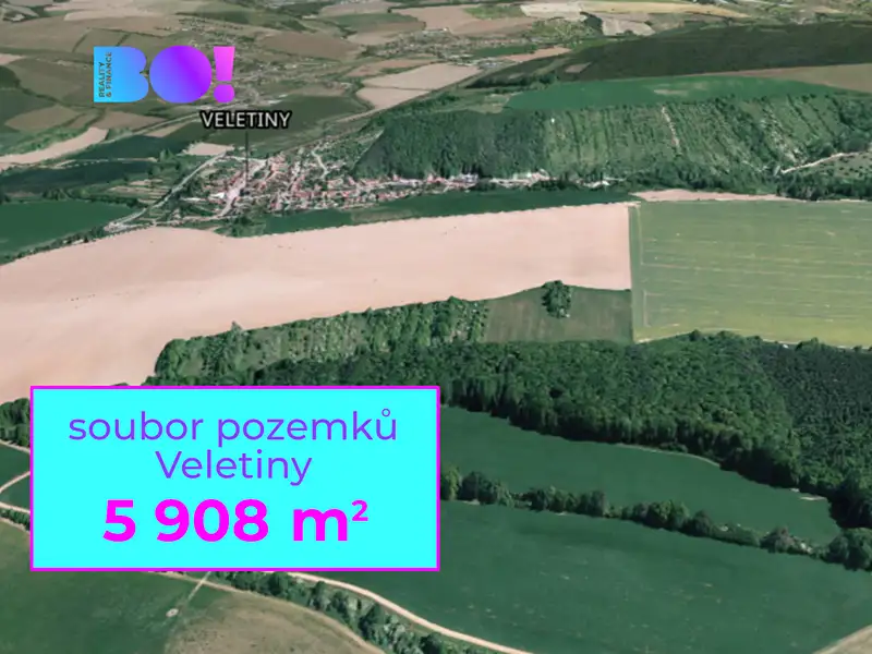 Prodej pole 5908 m², Veletiny – náhled fotky 1