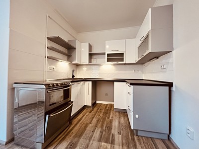 Pronájem bytu 1+1 46 m²
