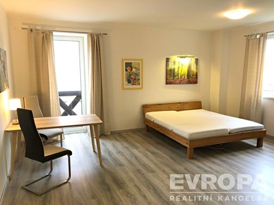 Pronájem bytu 1+kk 47 m²