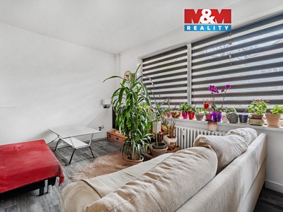 Pronájem bytu 1+1 31 m²