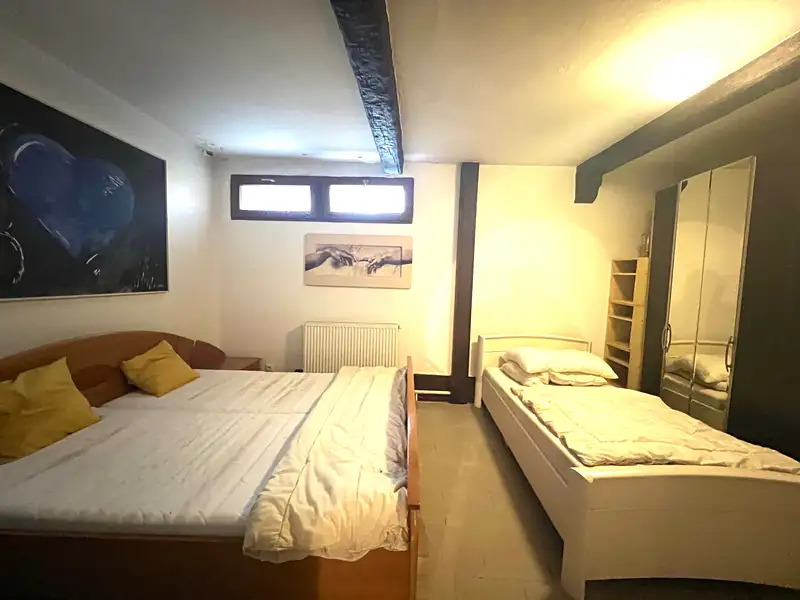Prodej rodinného domu 437 m², pozemek 376 m², Praha – náhled fotky 2