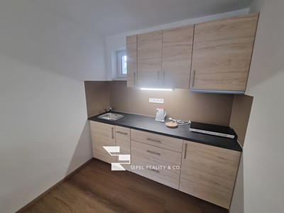 Pronájem bytu 1+1 32 m²