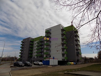 Pronájem bytu 1+kk 36 m² (Jednopodlažní)