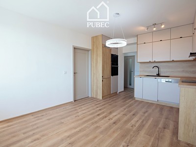 Pronájem bytu 3+kk 55 m²
