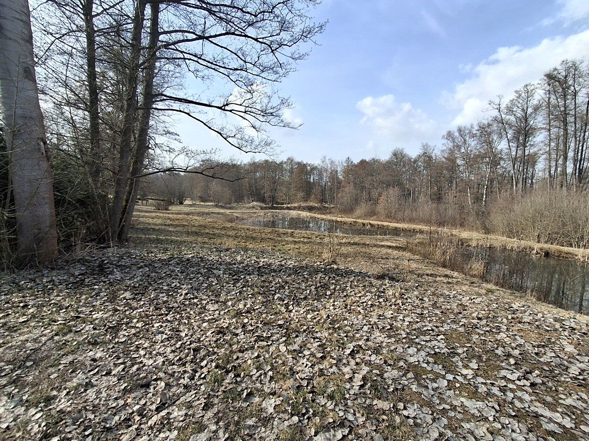 Prodej pozemku 5732 m² – fotografie 2