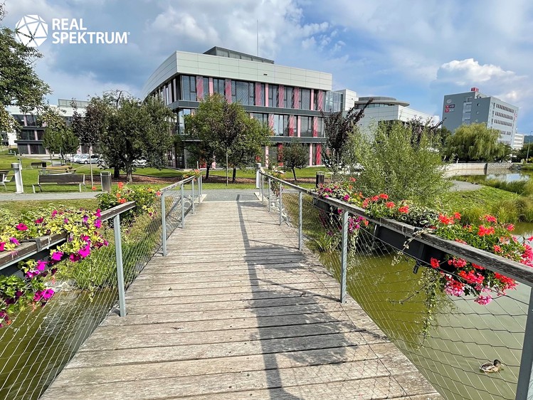 Gewerbefläche zur Miete, 250 m² (53 von 55)