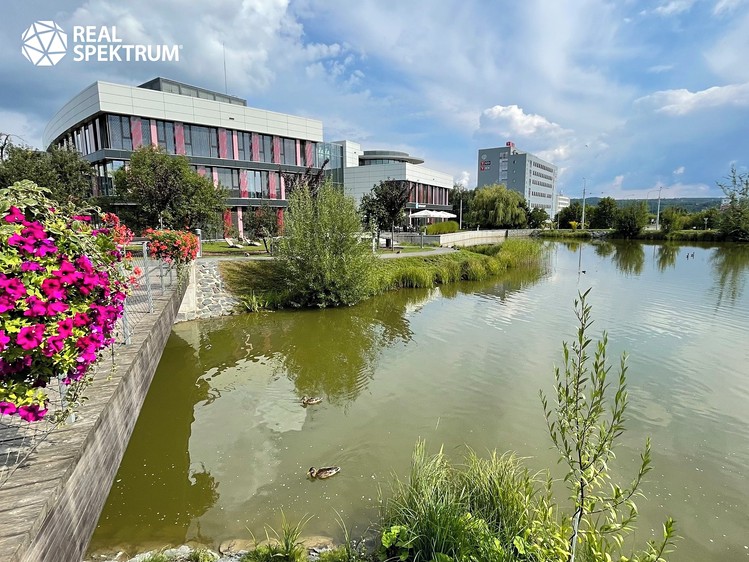 Gewerbefläche zur Miete, 250 m² (52 von 55)