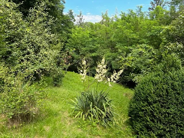 Fotka 18 z 26