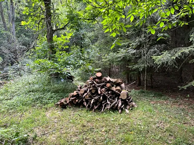 Fotka 9 z 26