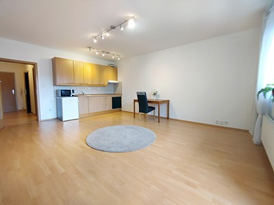 Pronájem bytu 1+kk 44 m²