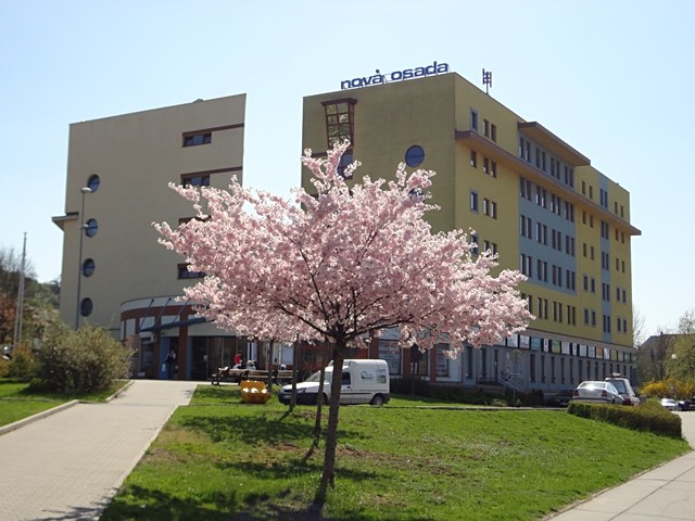 Ostatní